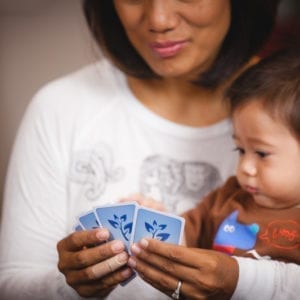 Premium Rook Cards: Fully Plastics | Green or Blue — image 9