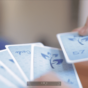 Premium Rook Cards: Fully Plastics | Green or Blue — image 5