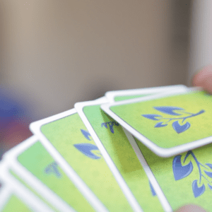 Premium Rook Cards: Fully Plastics | Green or Blue — image 6