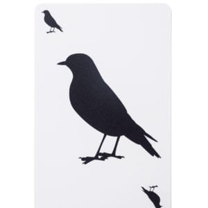 [8 Pack] Plastic "Bird" Cards: 10th Anniversary Deck by 57 Cards — image 11